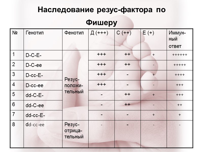 Наследование резус-фактора по Фишеру